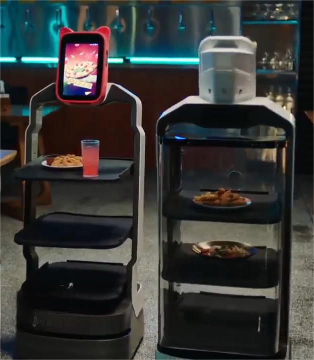 Food Delivery Robot